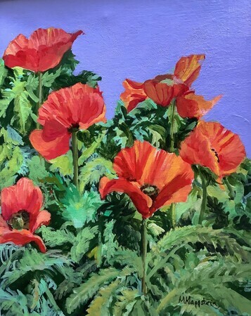 Red Poppies Six