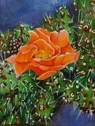 Michele Telford Cactus Flower #1'