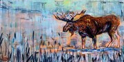 Duncan Herbert Moose At Dusk  18x36 $250